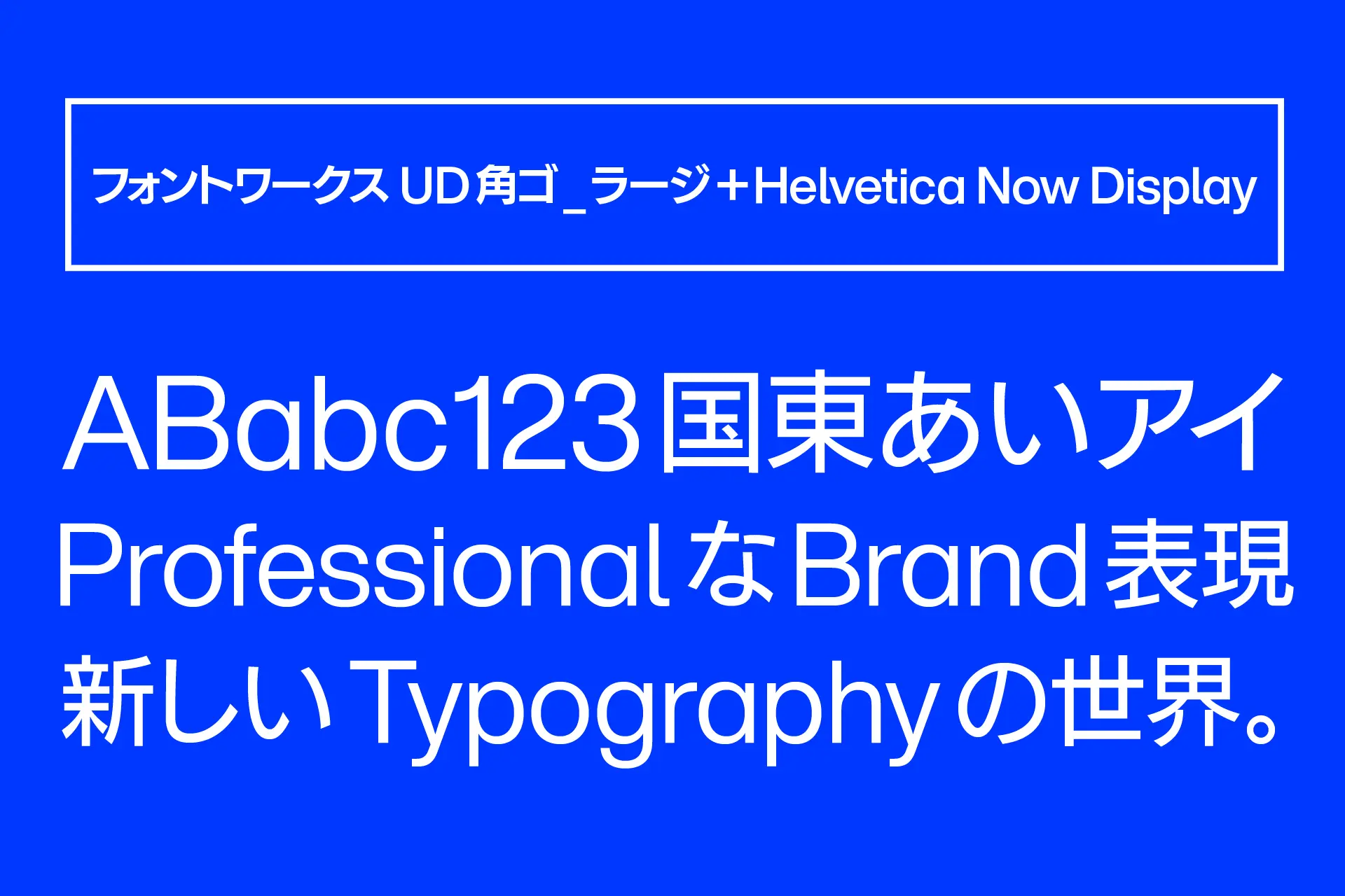 フォントワークス UD角ゴ_ラージ+Helvetica Now Display(8ウェイト)